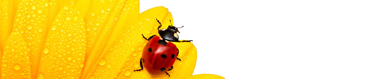 umwelt.steiermark.at
© Land Steiermark/Fotolia